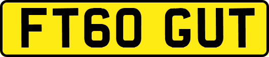 FT60GUT
