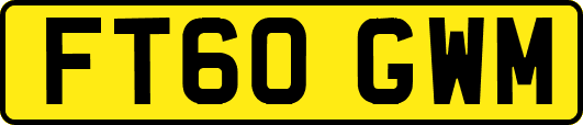FT60GWM