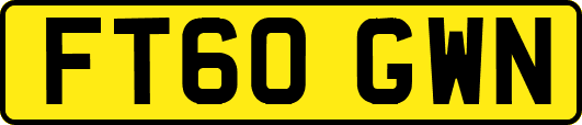 FT60GWN