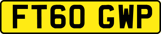 FT60GWP