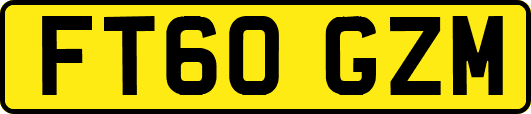 FT60GZM