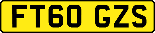 FT60GZS