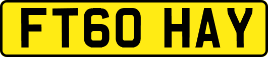 FT60HAY