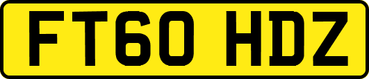 FT60HDZ