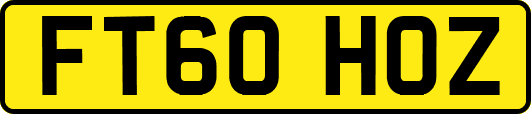 FT60HOZ