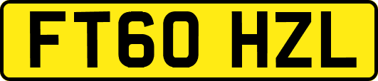 FT60HZL