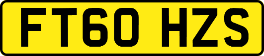 FT60HZS