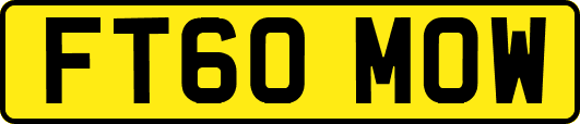 FT60MOW