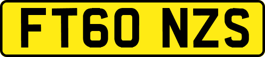 FT60NZS