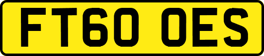 FT60OES