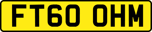 FT60OHM