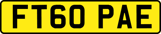 FT60PAE