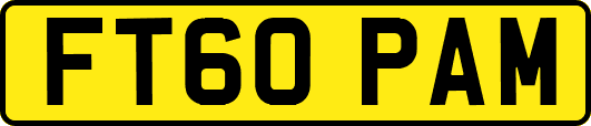 FT60PAM