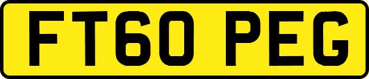 FT60PEG