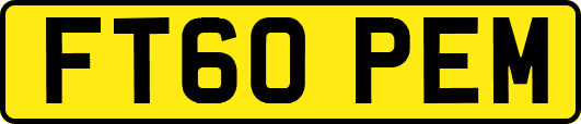 FT60PEM