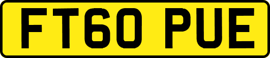 FT60PUE