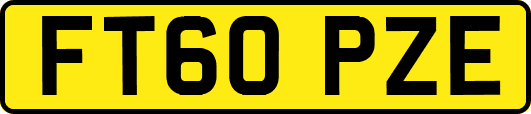 FT60PZE