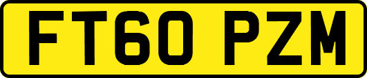 FT60PZM