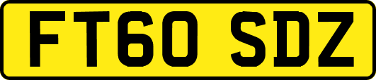 FT60SDZ