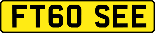 FT60SEE