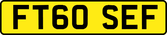 FT60SEF