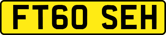 FT60SEH
