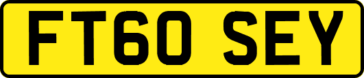 FT60SEY
