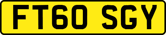 FT60SGY