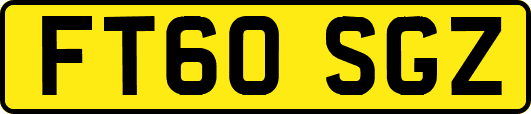 FT60SGZ