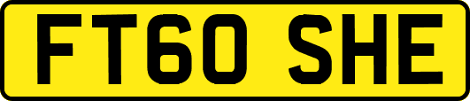 FT60SHE
