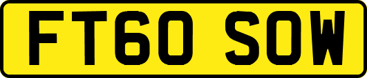 FT60SOW