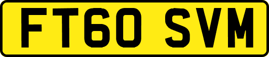 FT60SVM