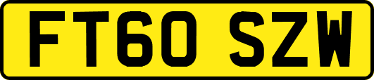 FT60SZW
