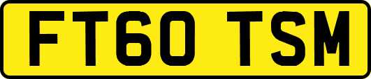 FT60TSM