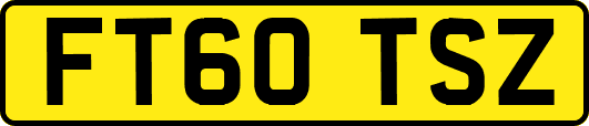 FT60TSZ