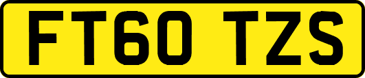 FT60TZS