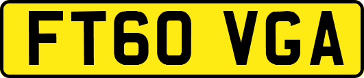 FT60VGA