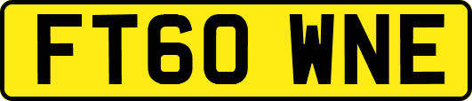 FT60WNE