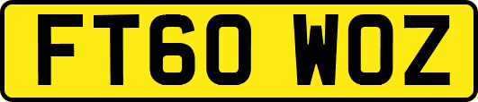 FT60WOZ