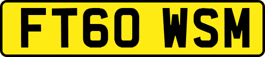 FT60WSM