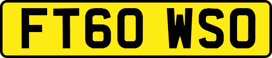 FT60WSO