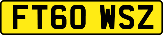 FT60WSZ