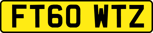 FT60WTZ