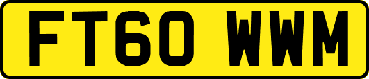 FT60WWM