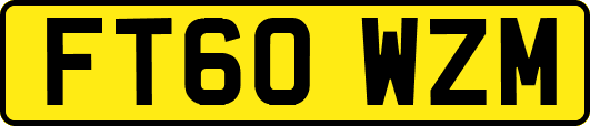 FT60WZM