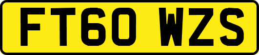 FT60WZS