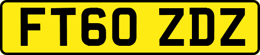 FT60ZDZ