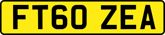 FT60ZEA