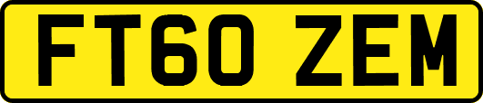 FT60ZEM