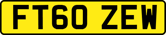FT60ZEW